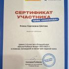 Сертификат участника.jpg